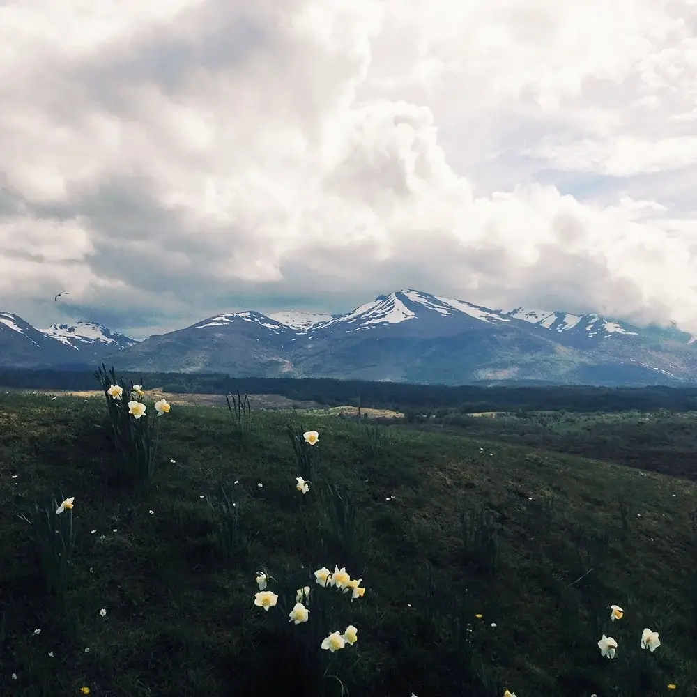 <p>&copy; Zhang Jingna</p>