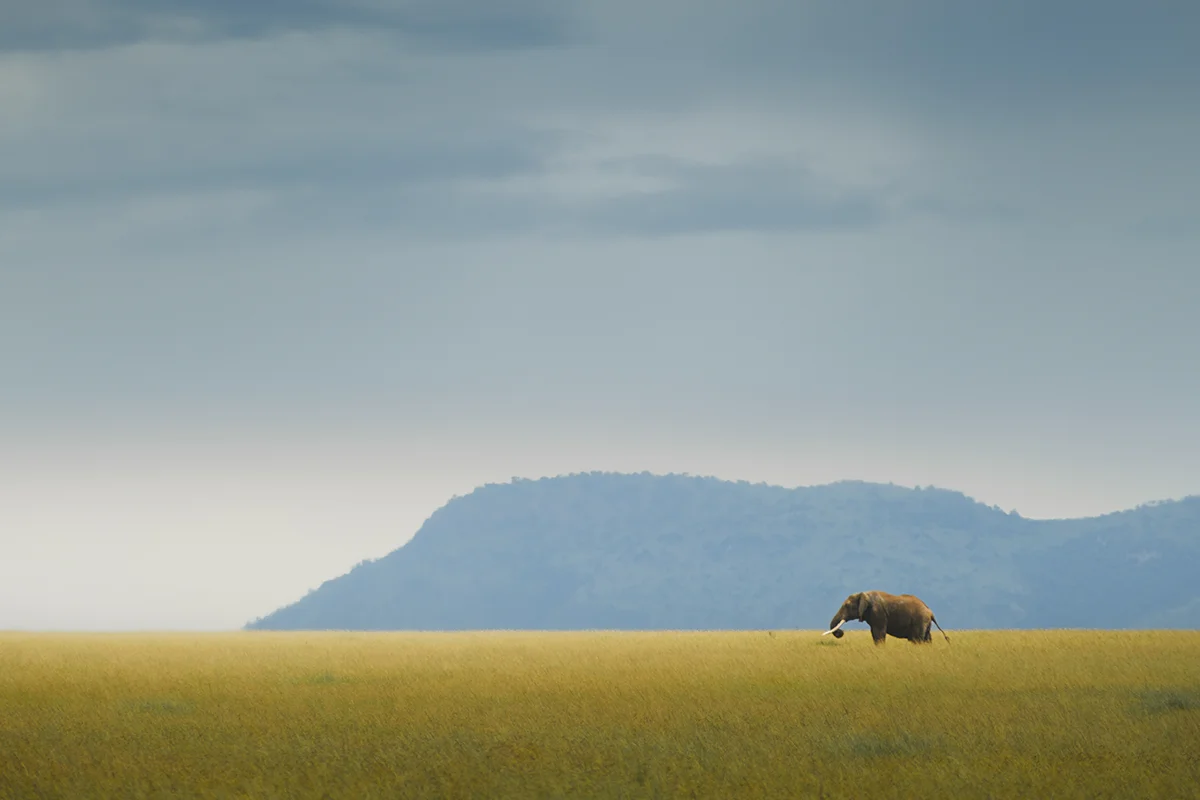 <p>&copy; Agniva Kolay</p>