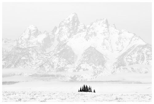 Tetons and Trees, Grand Teton National Park<p>© Chuck Kimmerle</p>