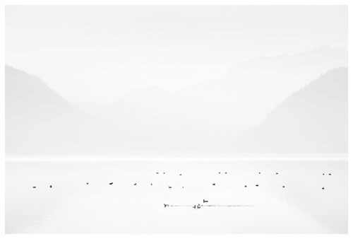 Ducks in a Row<p>© Chuck Kimmerle</p>
