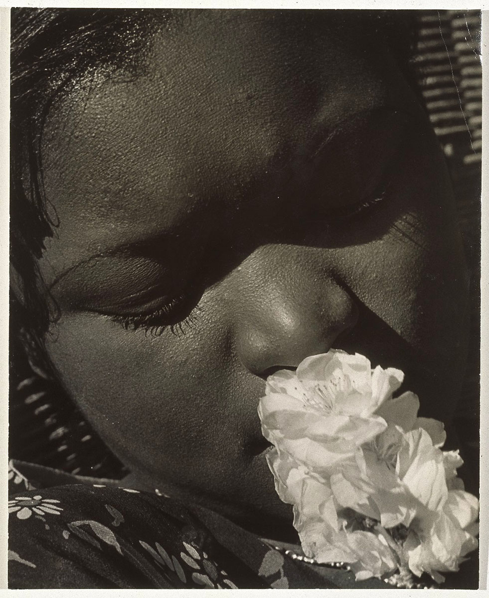 Frances with a Flower, early 1930s - Brooklyn Museum, Gift of Wallace B. Putnam from the estate of Consuelo Kanaga<p>© Consuelo Kanaga</p>