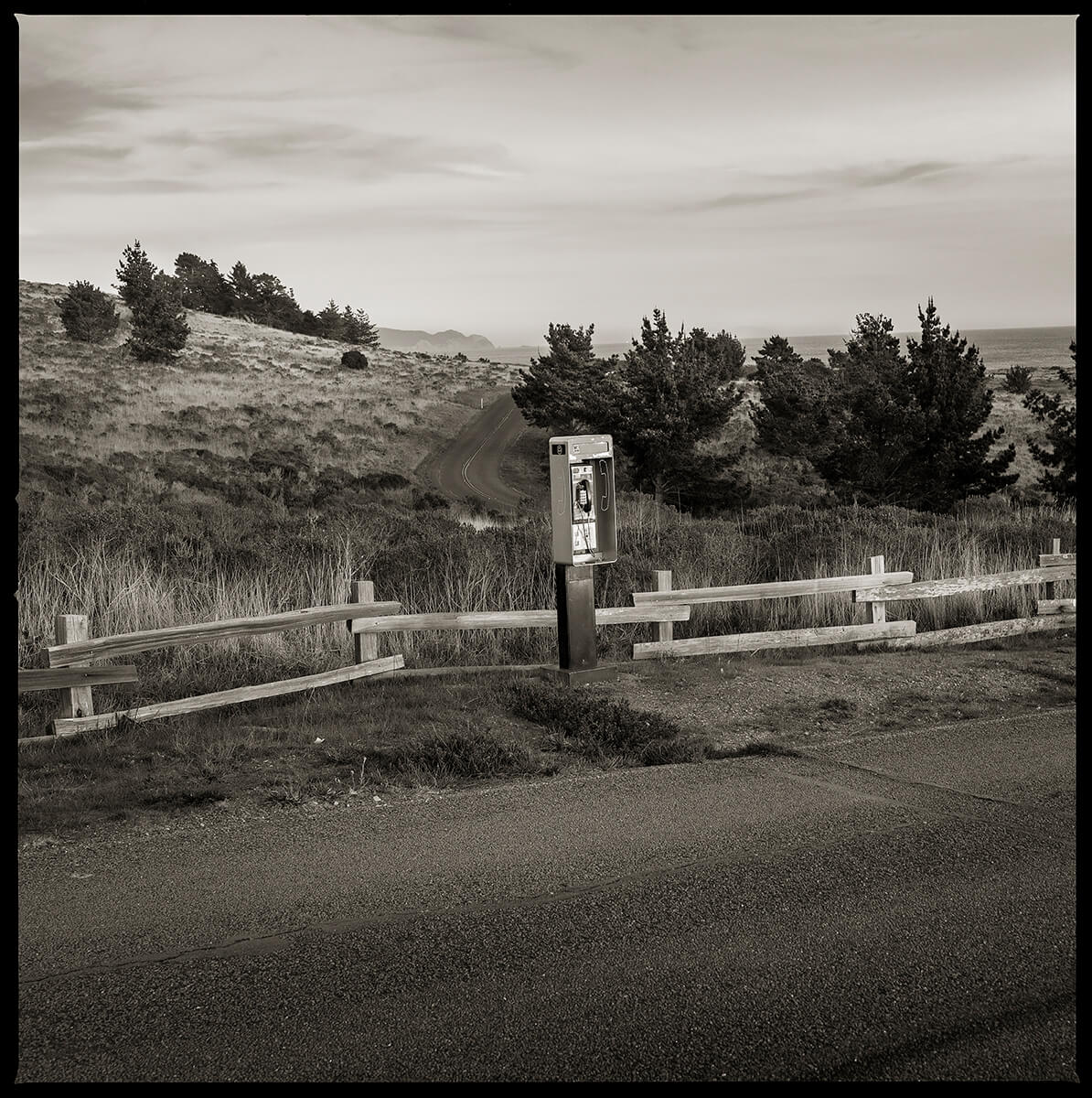 Unknown Number - Point Reyes National Seashore, CA<p>© Eric Kunsman</p>