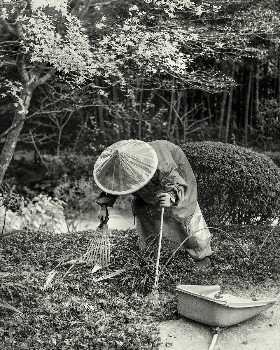 Japan 5<p>© Henk Kosche</p>