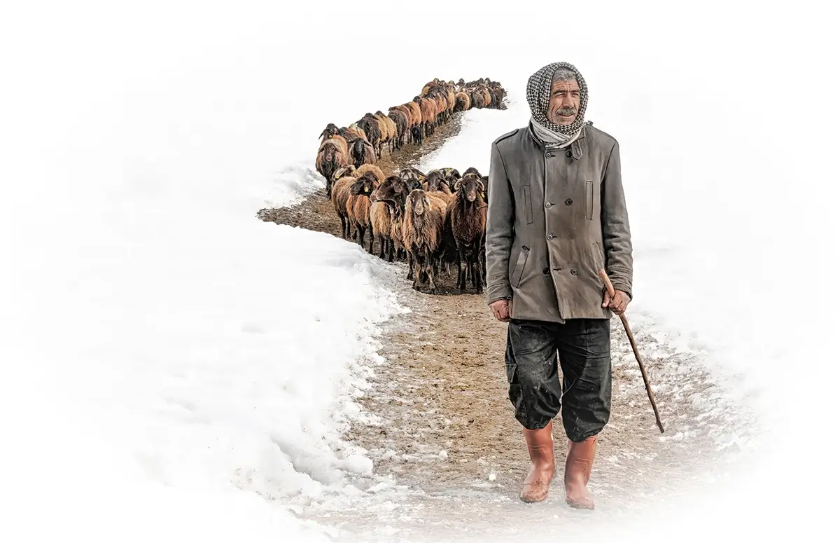 <p>© Hüseyin Karahan</p>