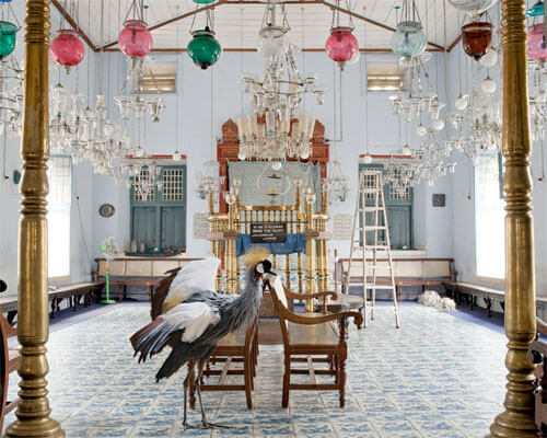 <p>© Karen Knorr</p>