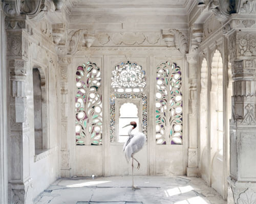 A Place like Amravati, Udaipur City Palace, Udaipur<p>© Karen Knorr</p>