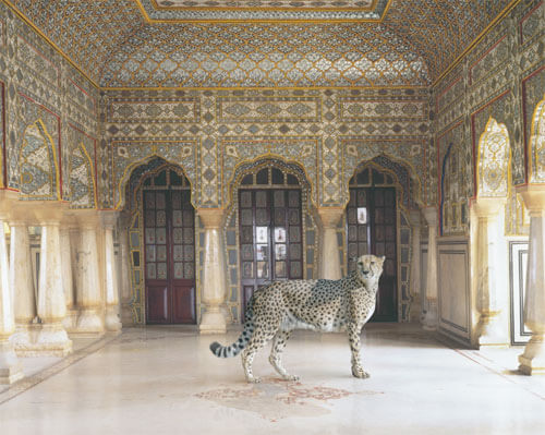 The Return of the Hunter, Jaipur Palace, Jaipur<p>© Karen Knorr</p>