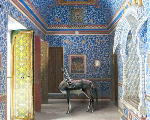 The Sound of Rain, Junagarh Fort, Bikaner<p>© Karen Knorr</p>