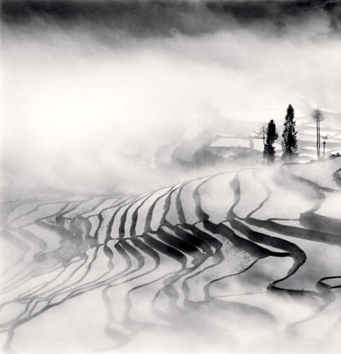 Yuanyang, Study 1, Yunnan, China (2013)<p>Courtesy Supervision / © Michael Kenna</p>