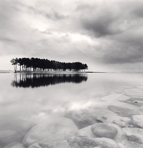 Pine Trees, Study 3, Wolcheon, Gangwondo, South Korea, 2011<p>Courtesy Supervision / © Michael Kenna</p>