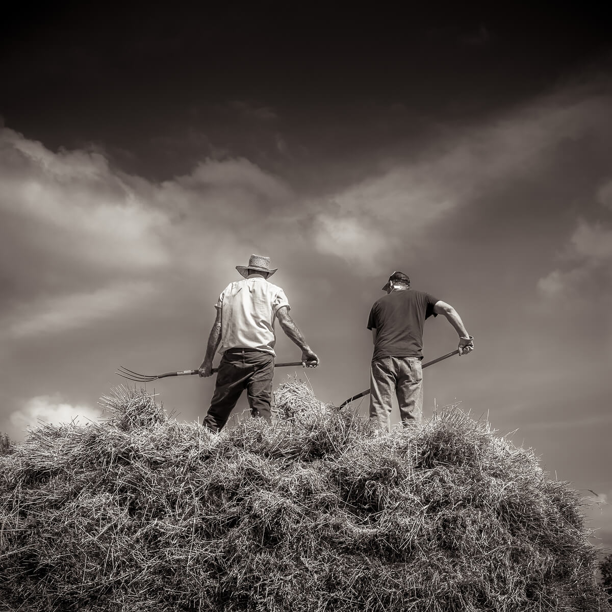 Hay Bale<p>© Michael Knapstein</p>