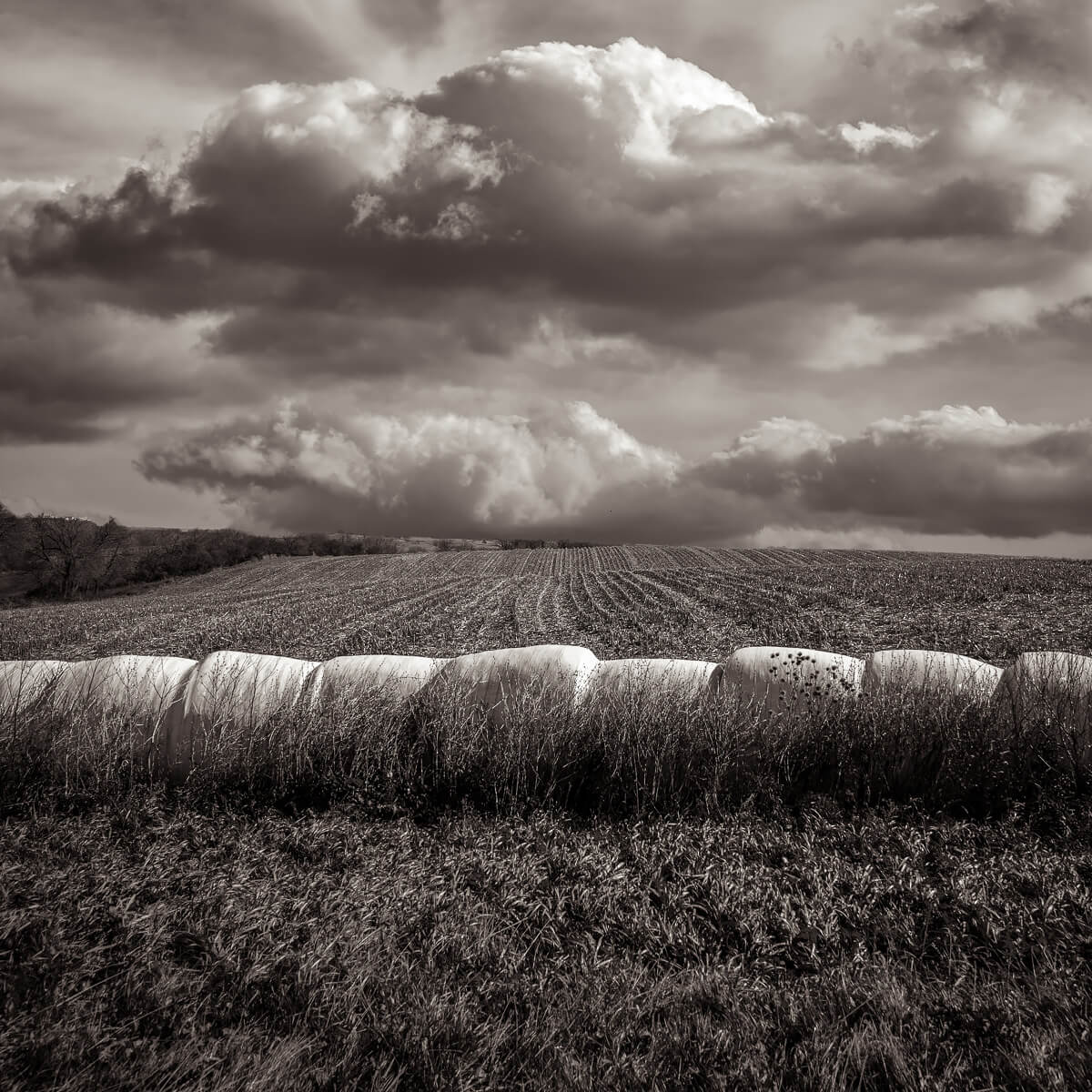 Hay with Chance of Clouds<p>© Michael Knapstein</p>