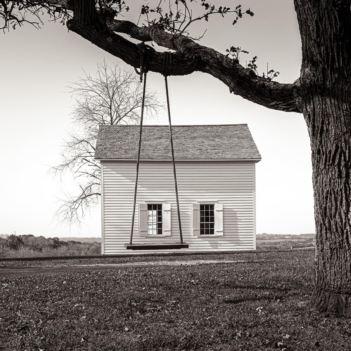 Swing of Time<p>© Michael Knapstein</p>