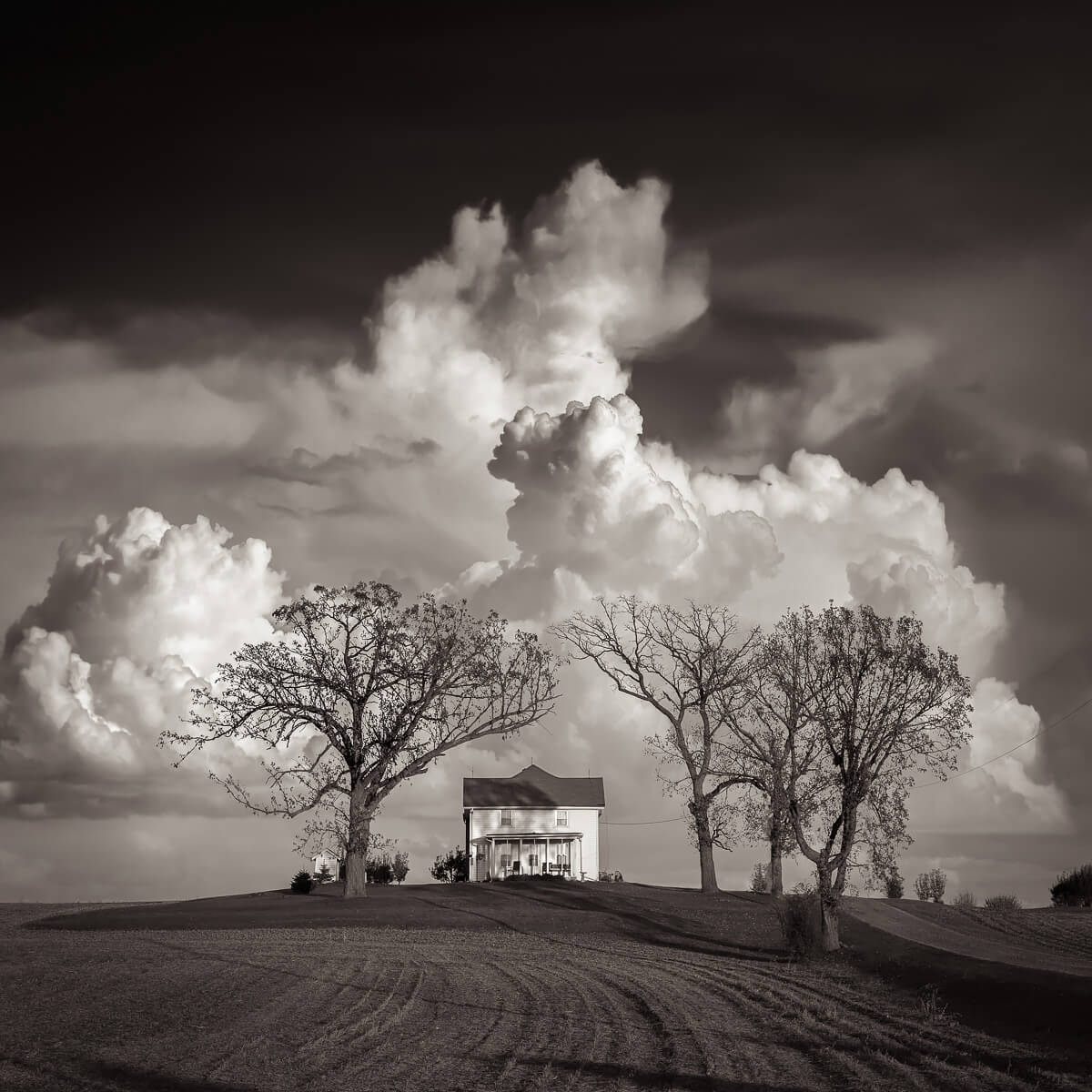 After the Storm<p>© Michael Knapstein</p>