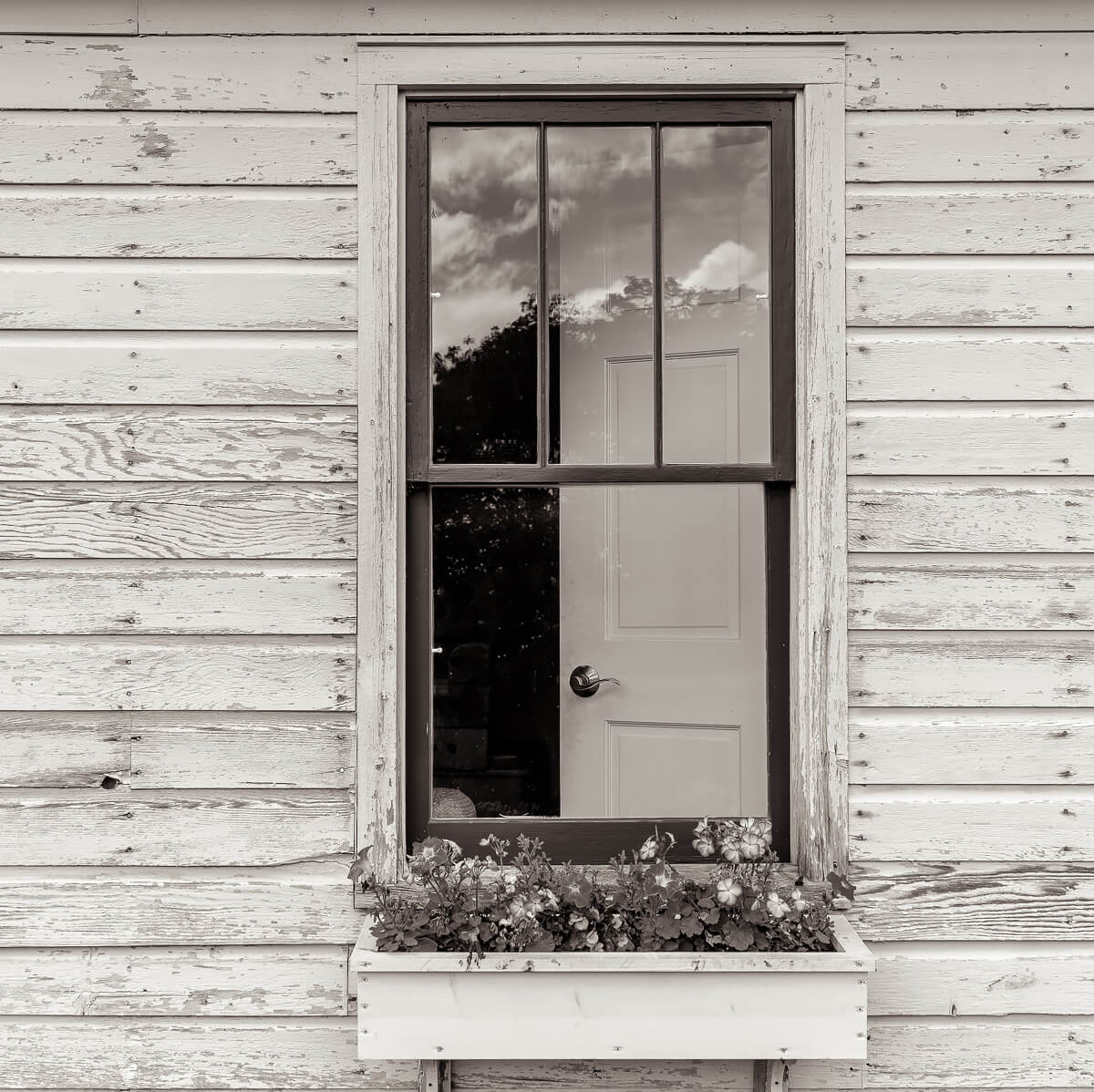 Window Box<p>© Michael Knapstein</p>