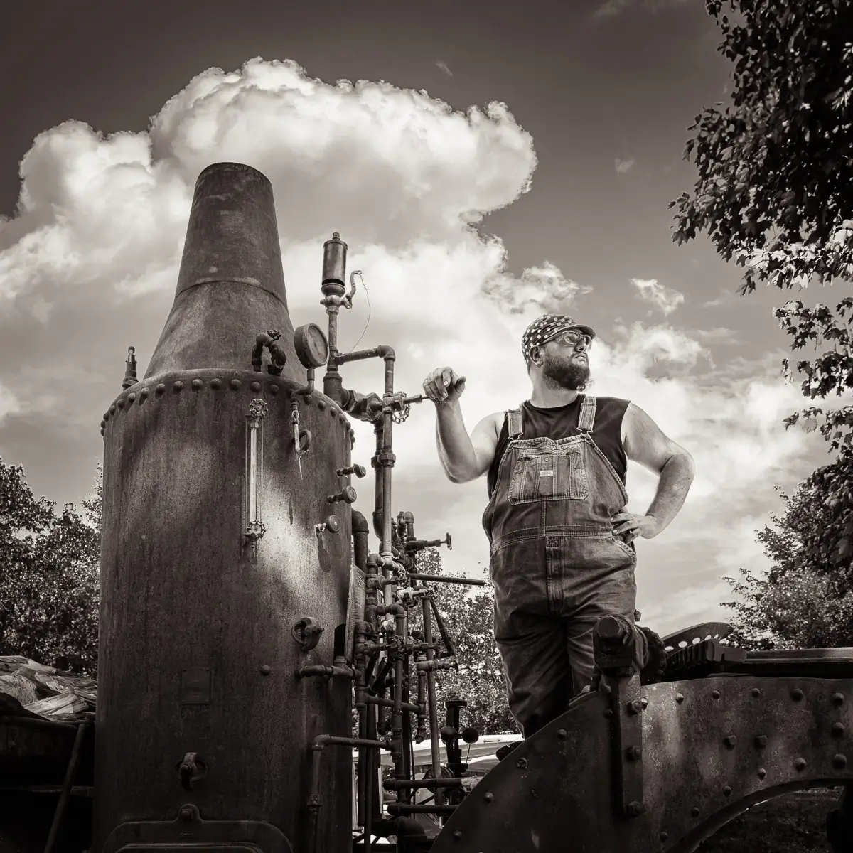 <p>© Michael Knapstein</p>
