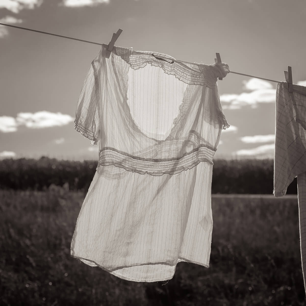 Clothesline<p>© Michael Knapstein</p>
