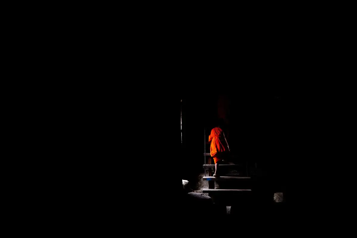Chasing Bats in Bayon Temple, Cambodia<p>&copy; Ryan Kost</p>