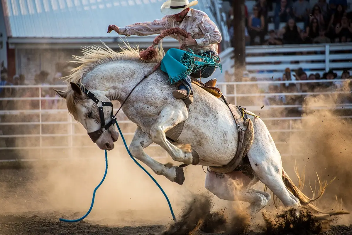 Power and Grit-Deer Trail Rodeo, Colorado<p>&copy; Ryan Kost</p>