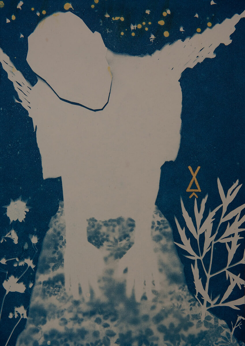 99/544<p>© Sarah  Ketelaars</p>
