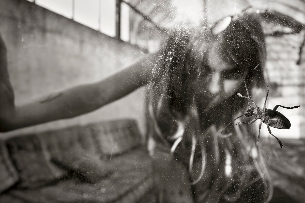 <p>© Alain Laboile</p>