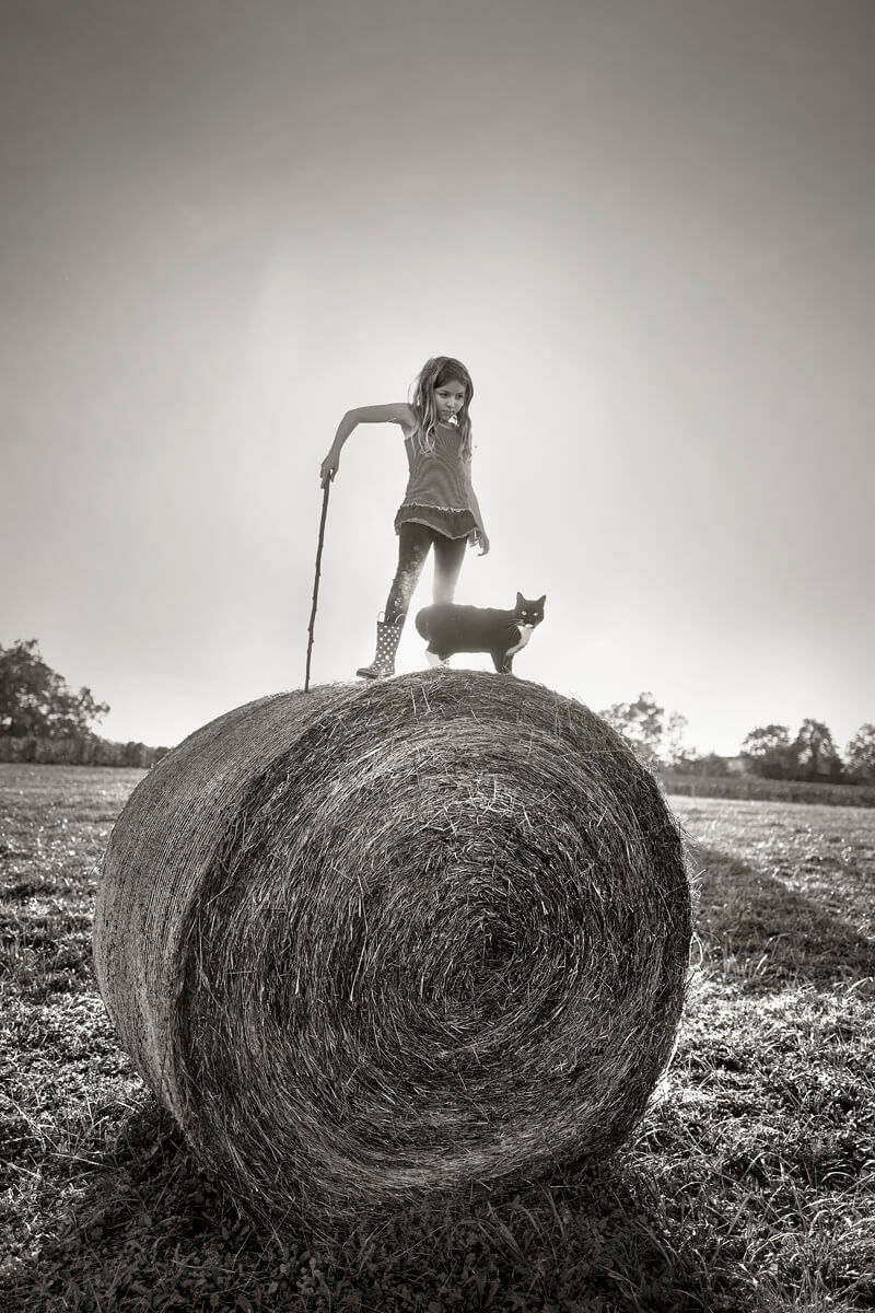 <p>© Alain Laboile</p>