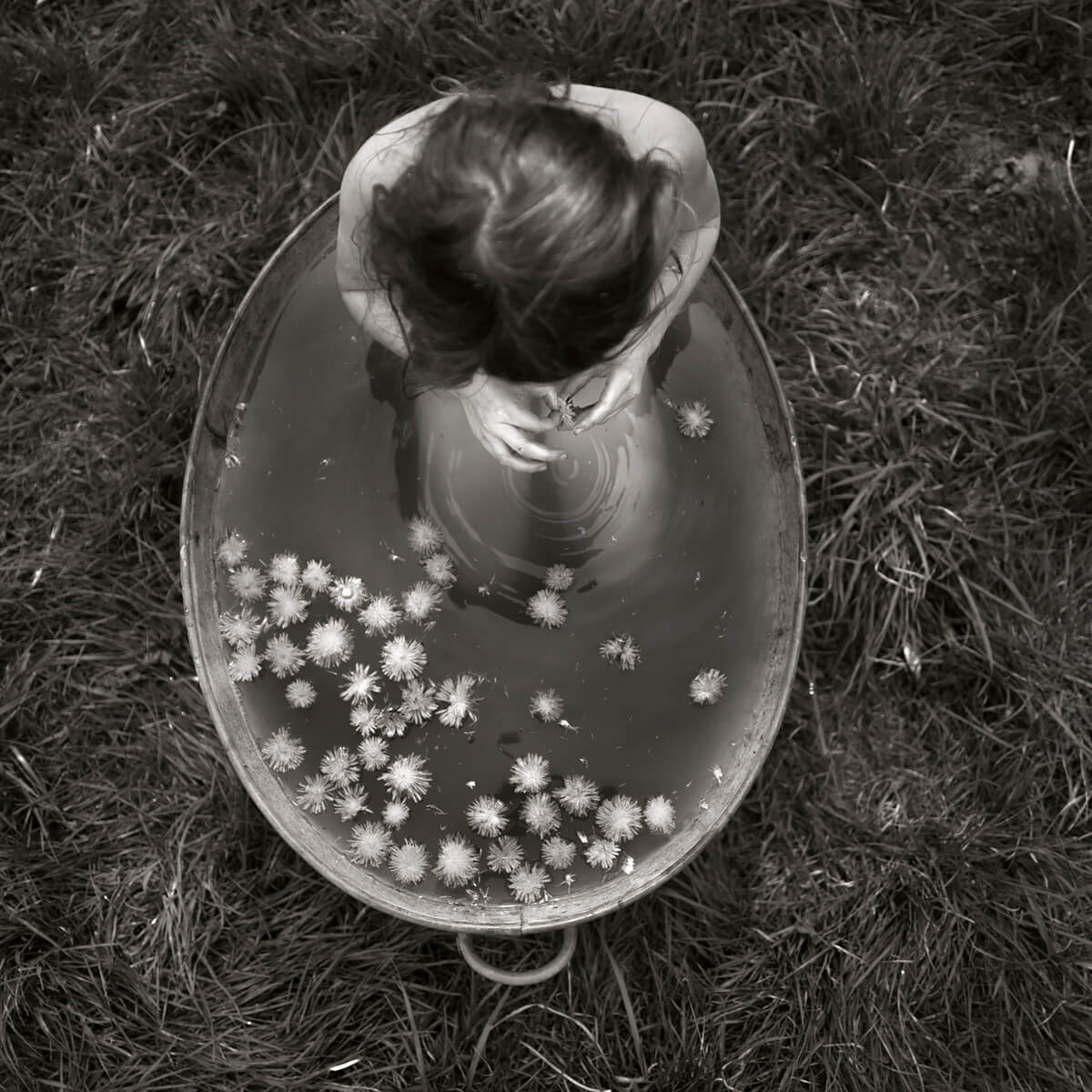 <p>© Alain Laboile</p>