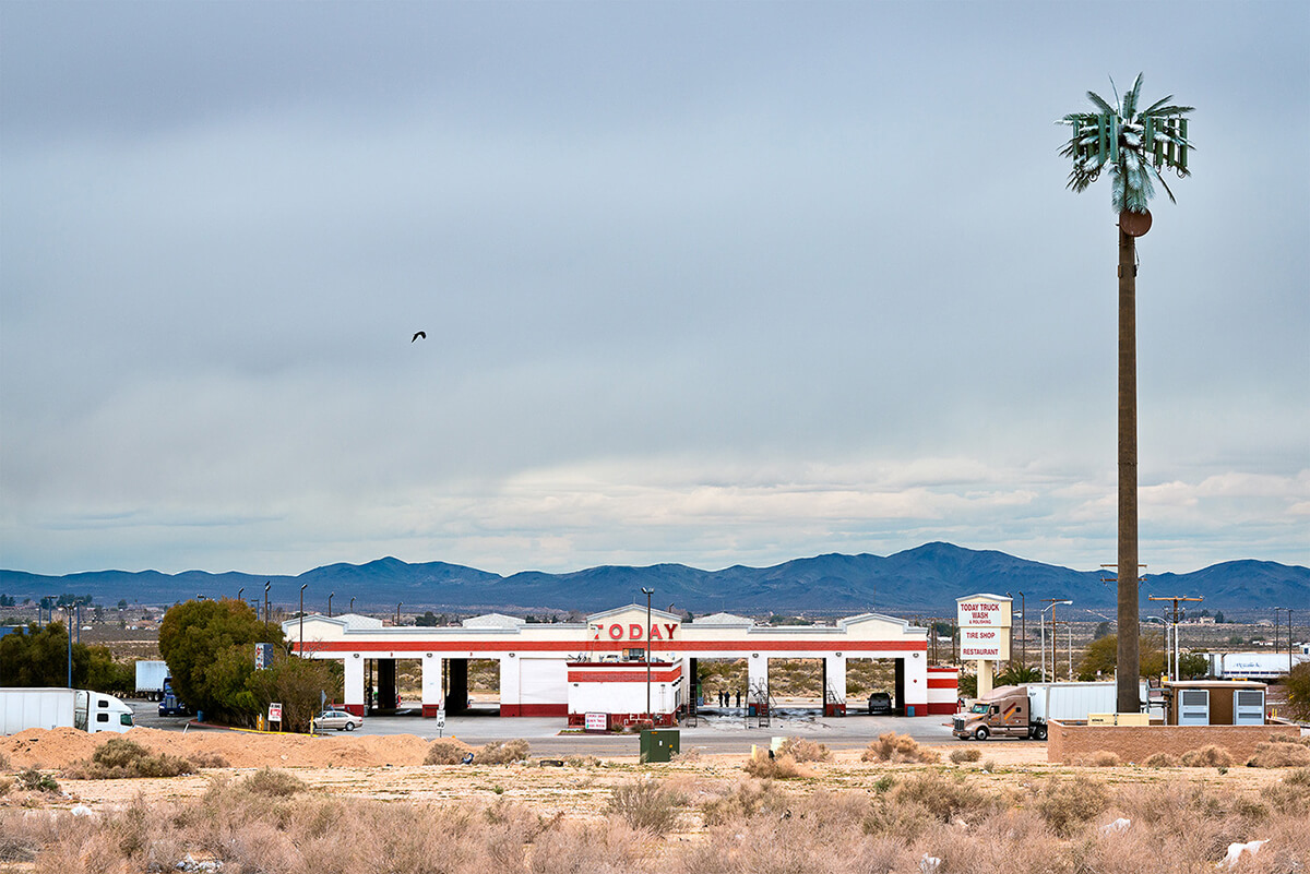 Fauxliage - Current Situation, Barstow, CA<p>© Annette LeMay Burke</p>