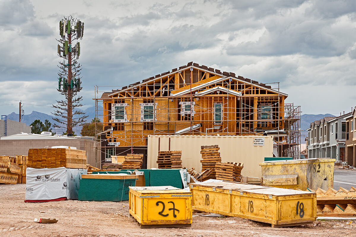 Fauxliage - Move-in Condition, Las Vegas, NV<p>© Annette LeMay Burke</p>