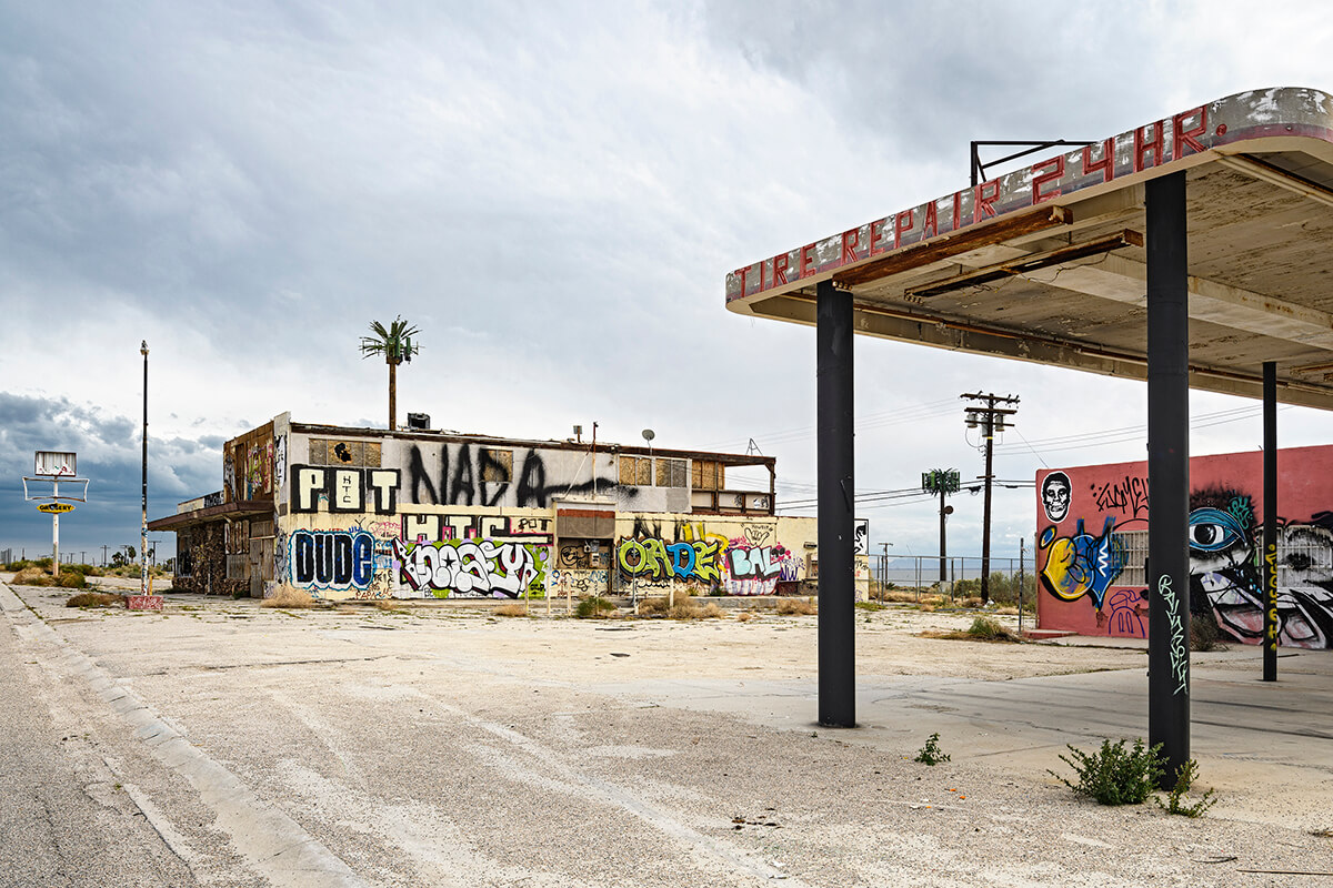 Fauxliage - Deserted Oasis, Salton Sea, CA<p>© Annette LeMay Burke</p>