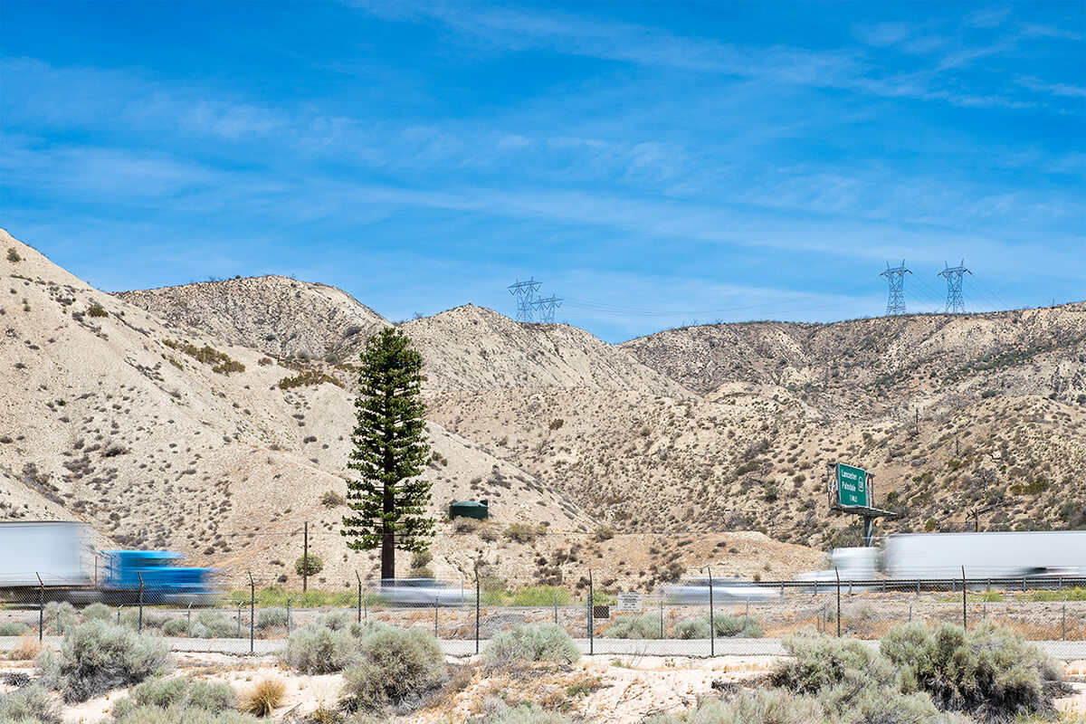 Fauxliage - The Grapevine, Gorman, CA<p>© Annette LeMay Burke</p>