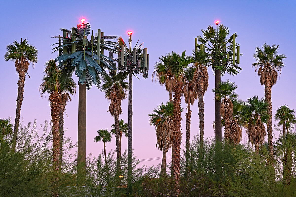 Fauxliage: Airport Approach, Palm Springs, CA<p>© Annette LeMay Burke</p>