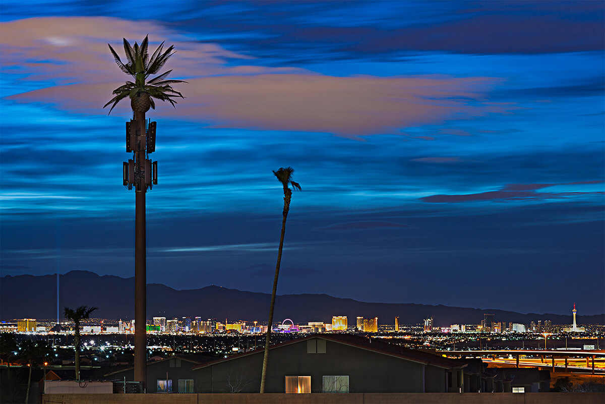 Fauxliage - Vegas Strip, Henderson, NV.jpg<p>© Annette LeMay Burke</p>