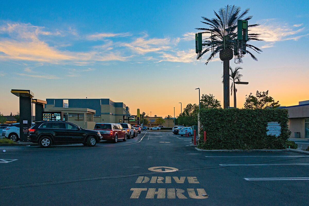 Fauxliage - Drive Thru, La Mesa, CA<p>© Annette LeMay Burke</p>