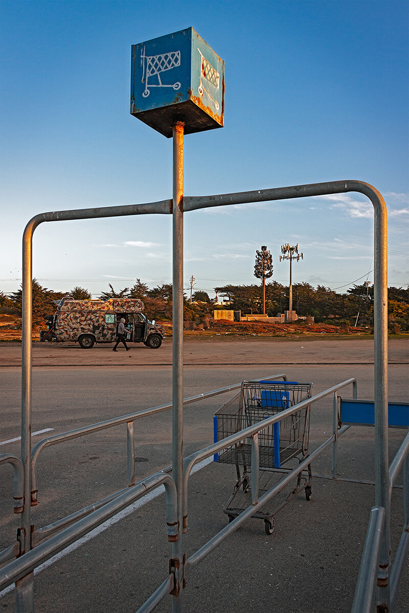 Fauxliage - Checked Out, Marina, CA<p>© Annette LeMay Burke</p>