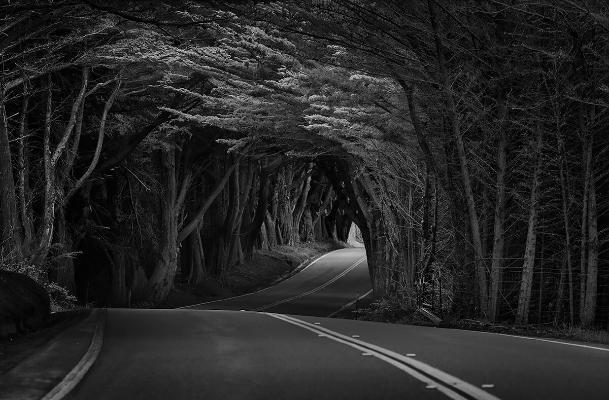 Hwy 1, Northern CA - 2015<p>© Charlie Lieberman</p>