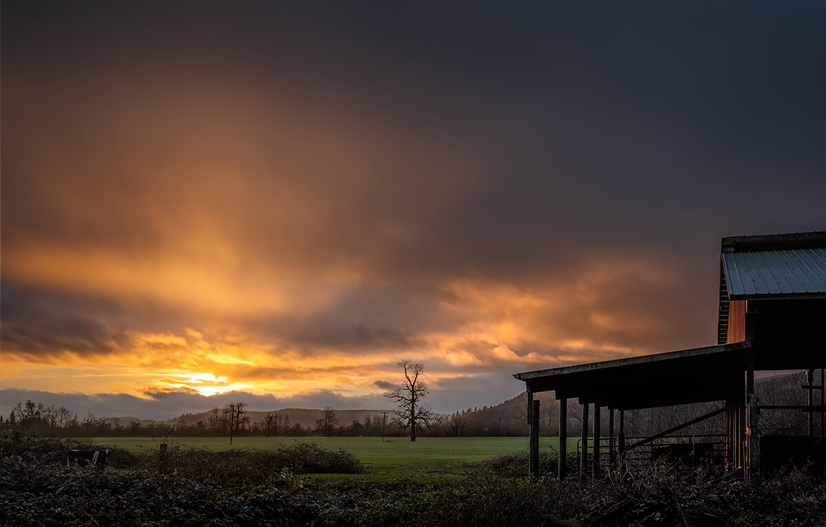 SW of Hebo, Oregon - 2021<p>© Charlie Lieberman</p>