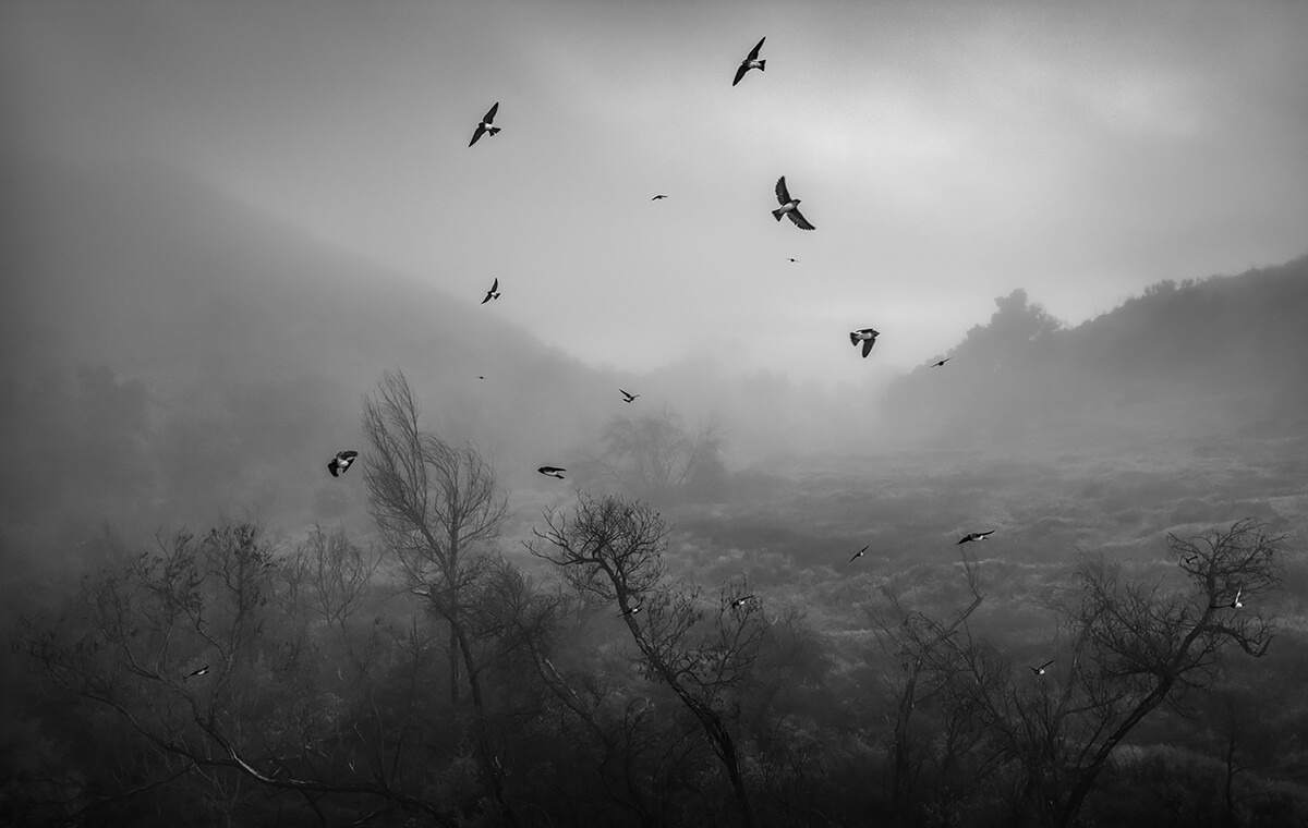 Paramount Ranch, California 2 - 2020<p>© Charlie Lieberman</p>