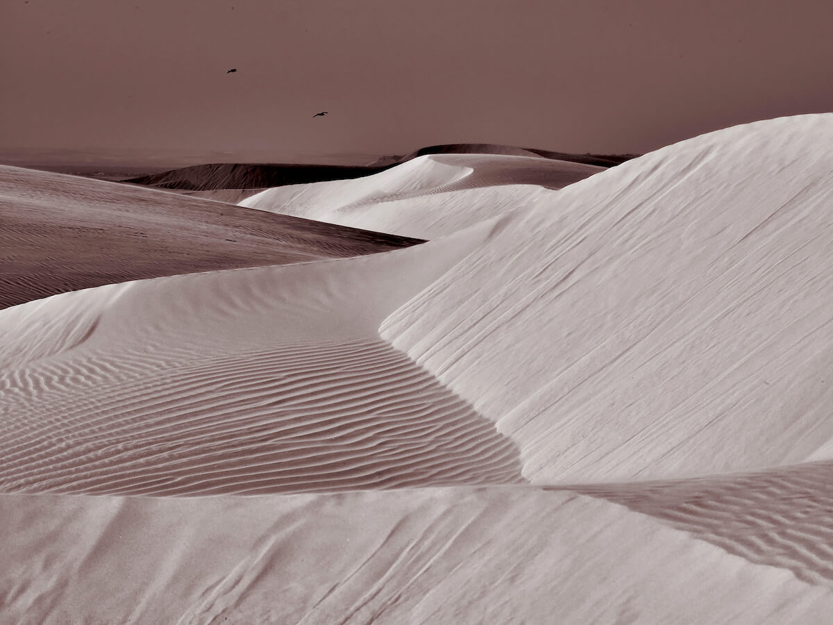Dunes<p>© Darren Lewey</p>