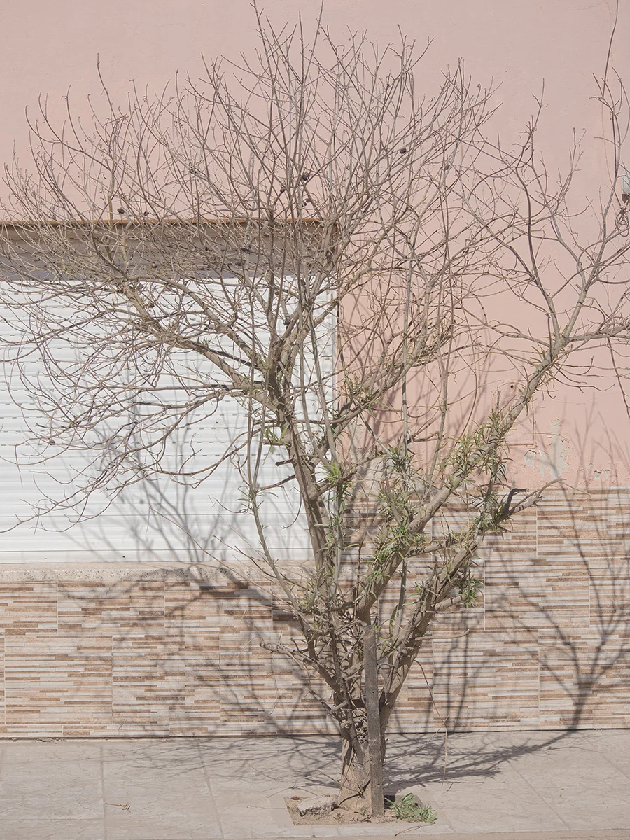 Bare Not Fragile<p>&copy; Eleonora Laufer</p>
