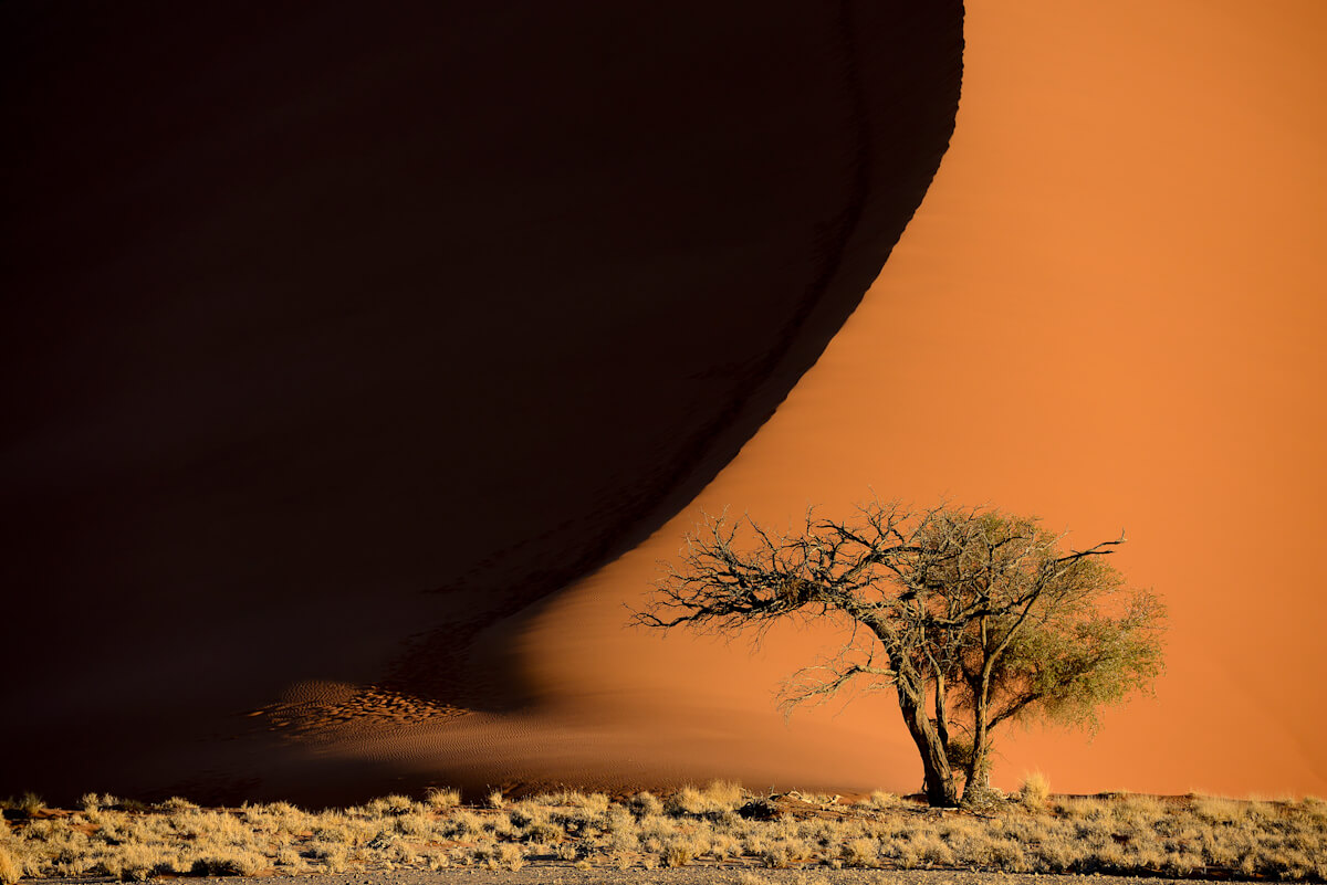 Namib<p>© Enrique López-Tapia de Inés</p>