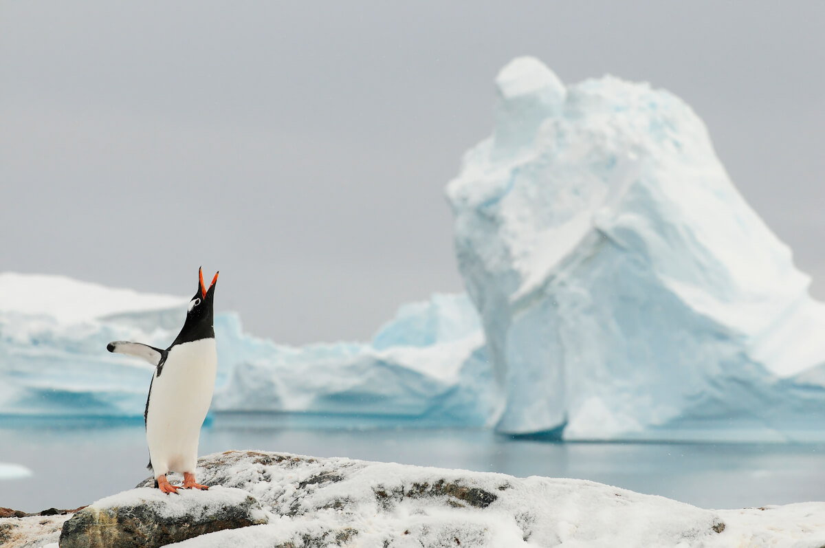 Ice Worlds<p>© Enrique López-Tapia de Inés</p>