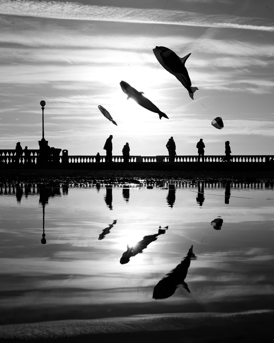 Kites 1200<p>© Francesco Luongo</p>