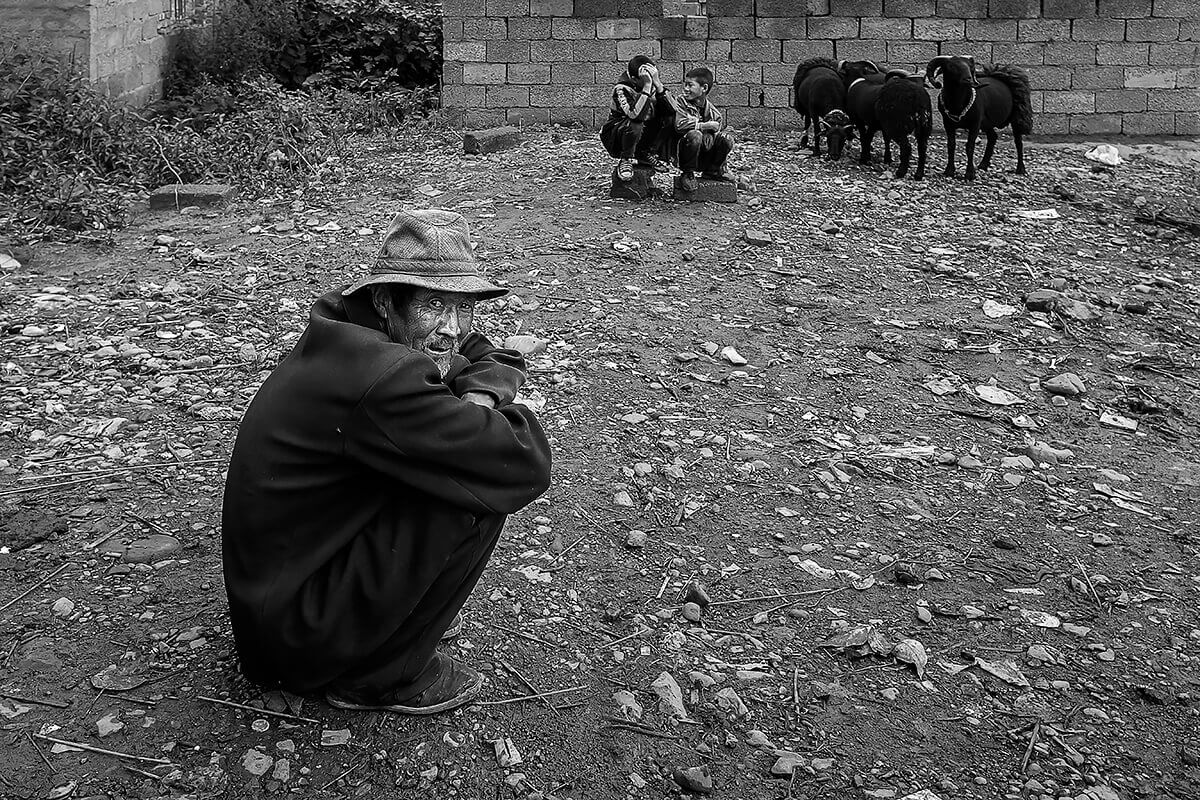 <p>© Haikun Liang</p>