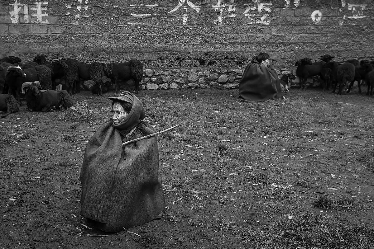 <p>© Haikun Liang</p>