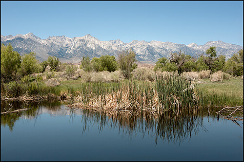 Restored Section of the Lower Owens River, Owens Valley, CA, 2012<p>© Jennifer Little</p>