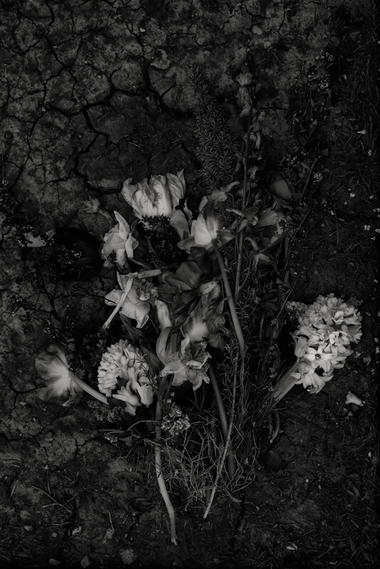 Dark Times<p>© Kevin Lyle</p>