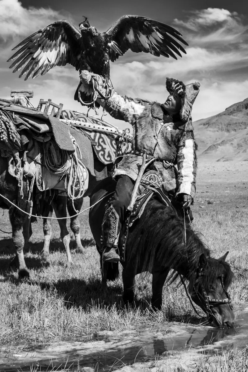 <p>&copy; Lise Leino</p>