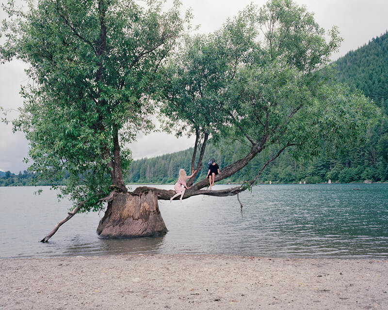 Cockoo tree<p>© Lotta Lemetti</p>