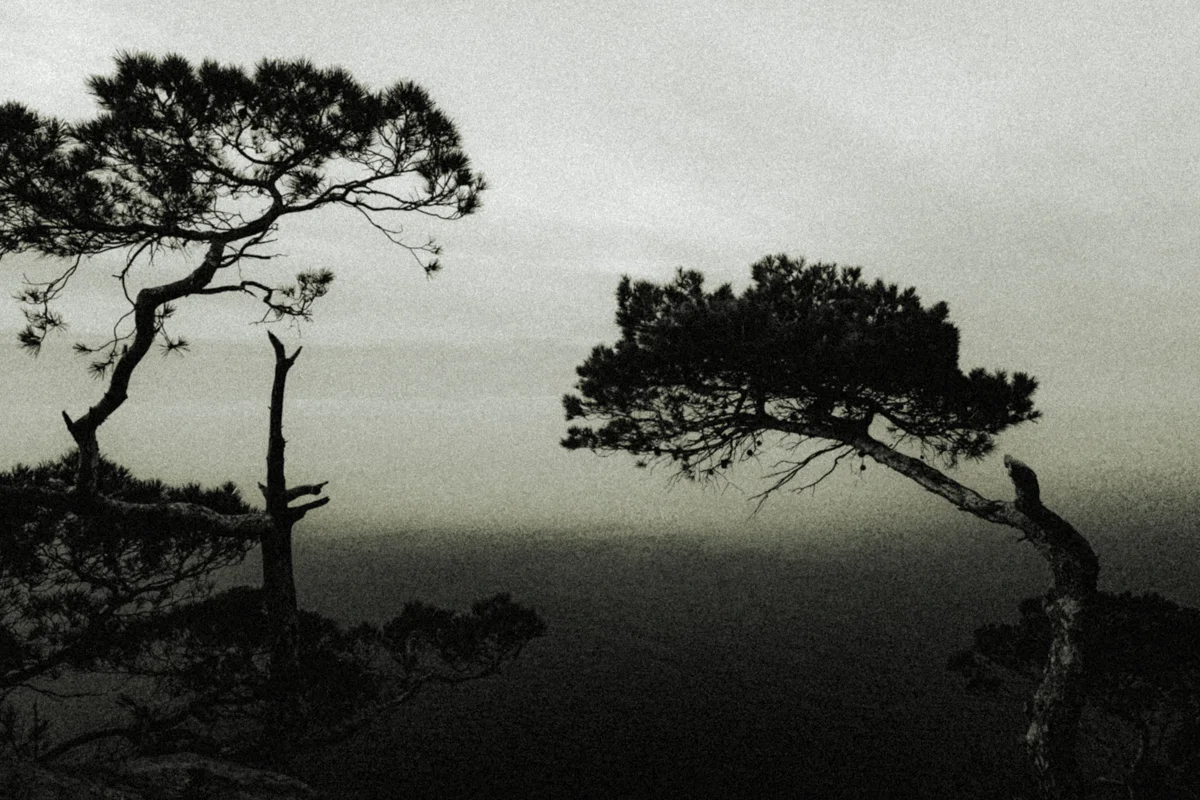 <p>&copy; Pascale Le Lann</p>